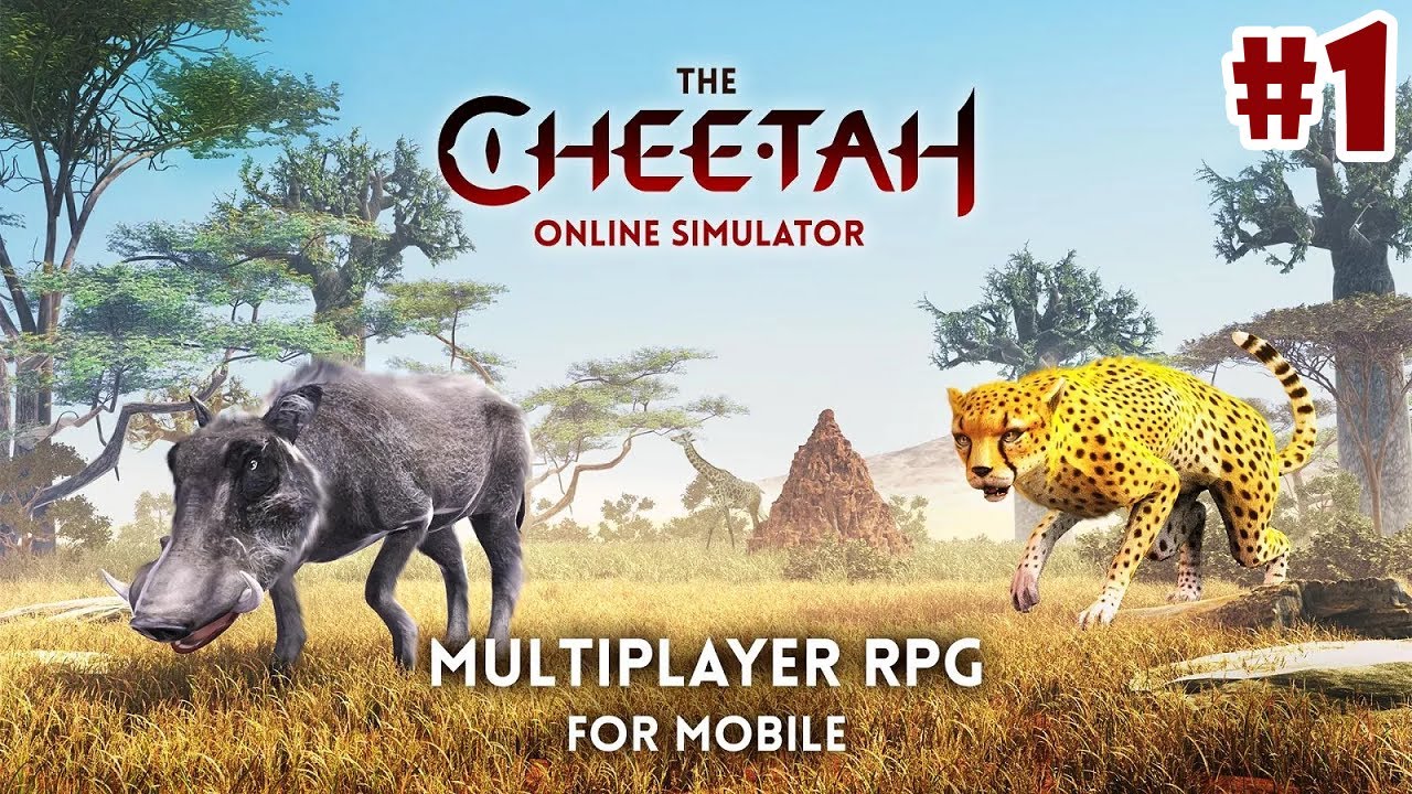 cheetah video converter